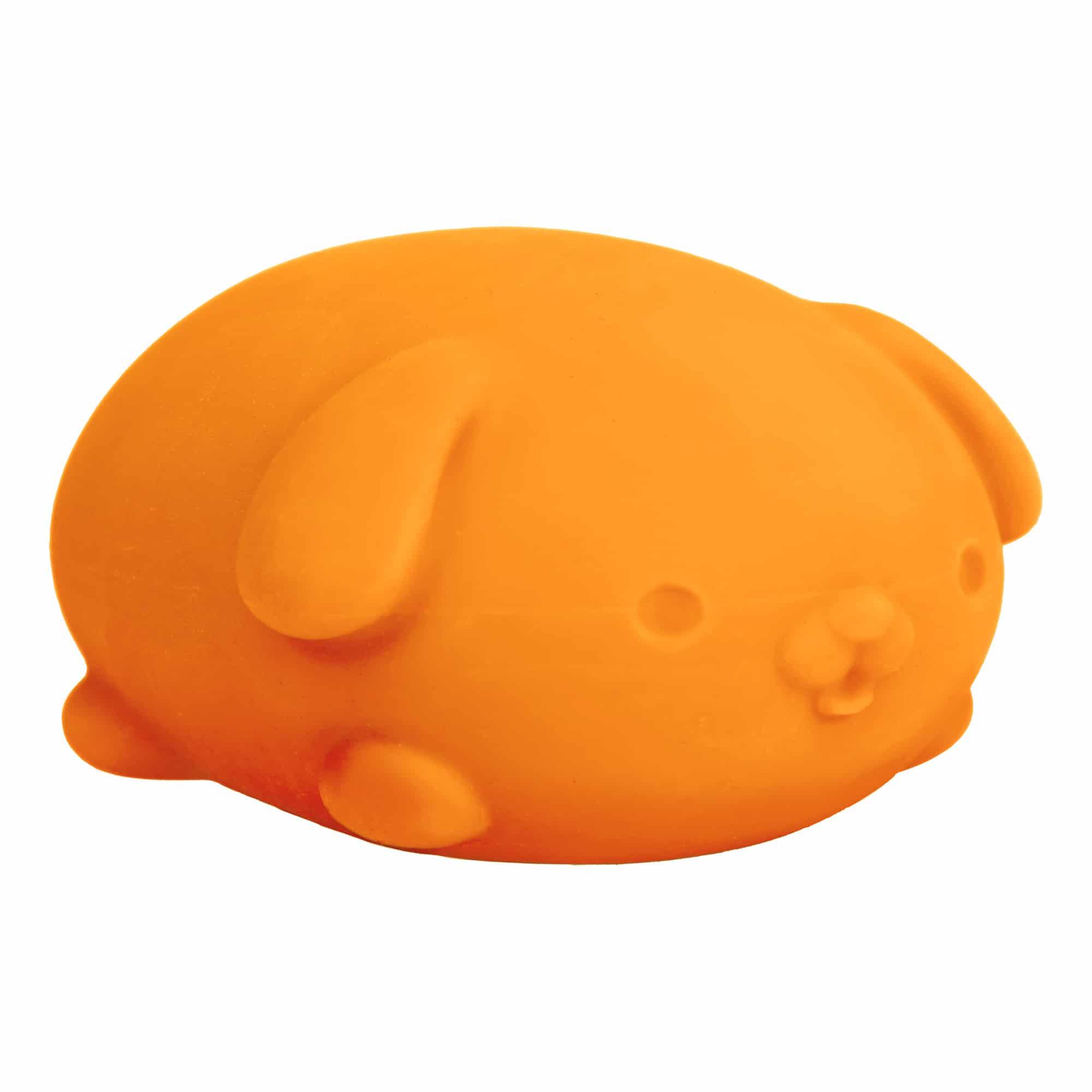 Purrfectly Squishy NeeDoh Funky Pup | Collection Canyon Shore - Cute Animal-Shaped NeeDoh Fidget Toy for Kids Detail