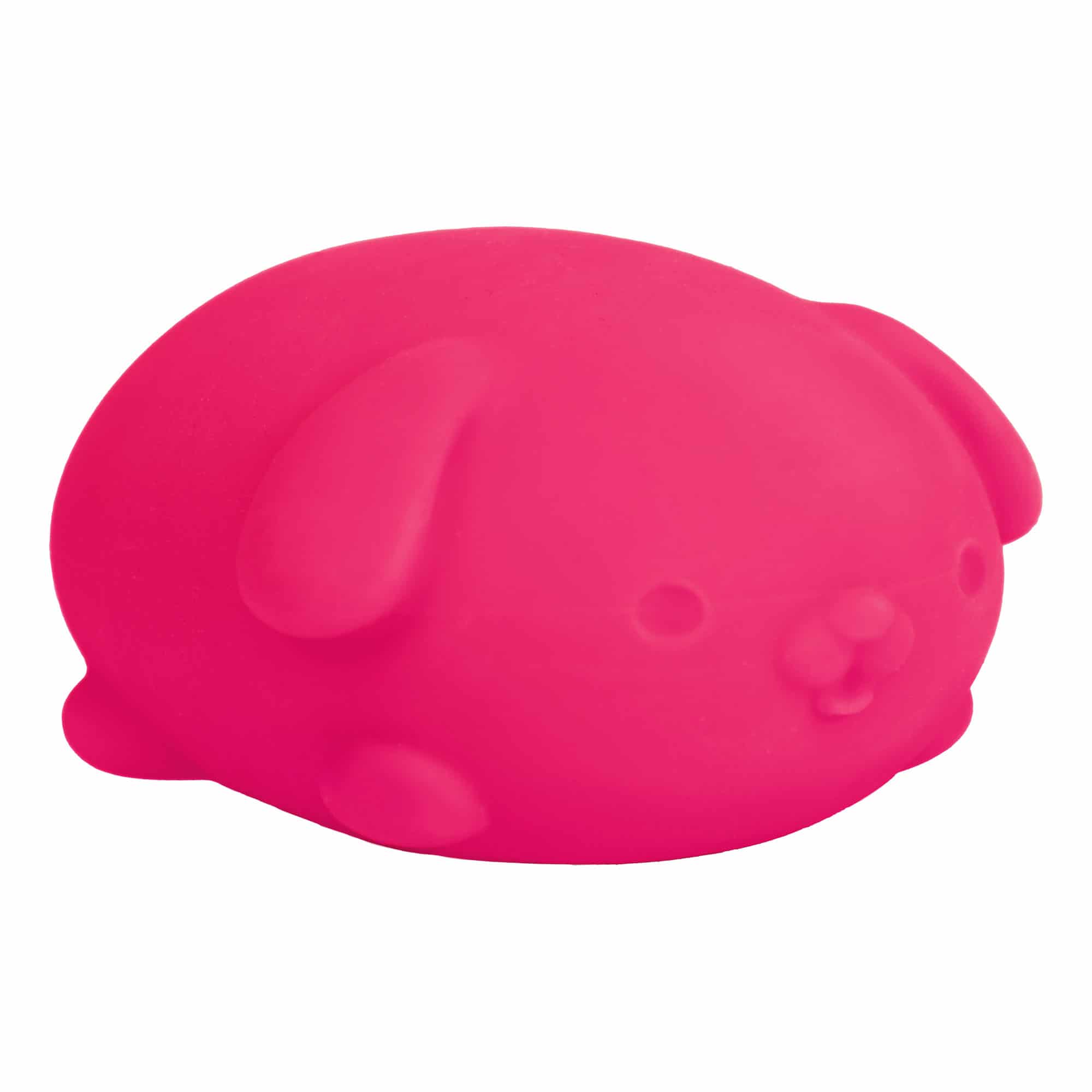 Purrfectly Squishy NeeDoh Funky Pup | Collection Canyon Shore - Cute Animal-Shaped NeeDoh Fidget Toy for Kids Detail