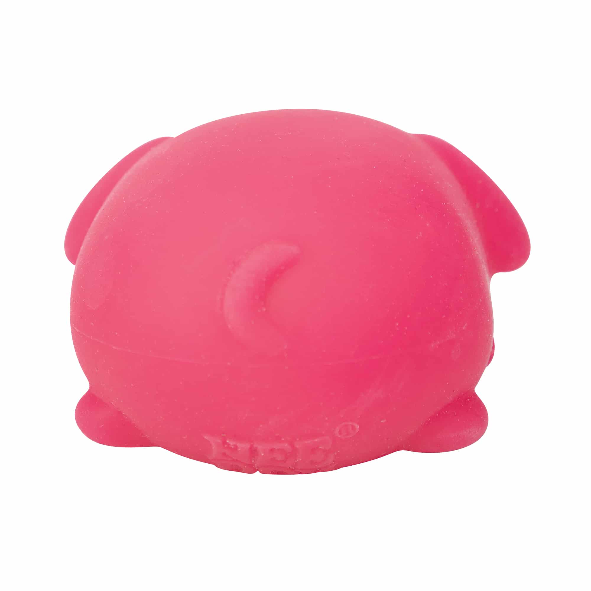 Purrfectly Squishy NeeDoh Funky Pup | Collection Canyon Shore - Cute Animal-Shaped NeeDoh Fidget Toy for Kids Detail