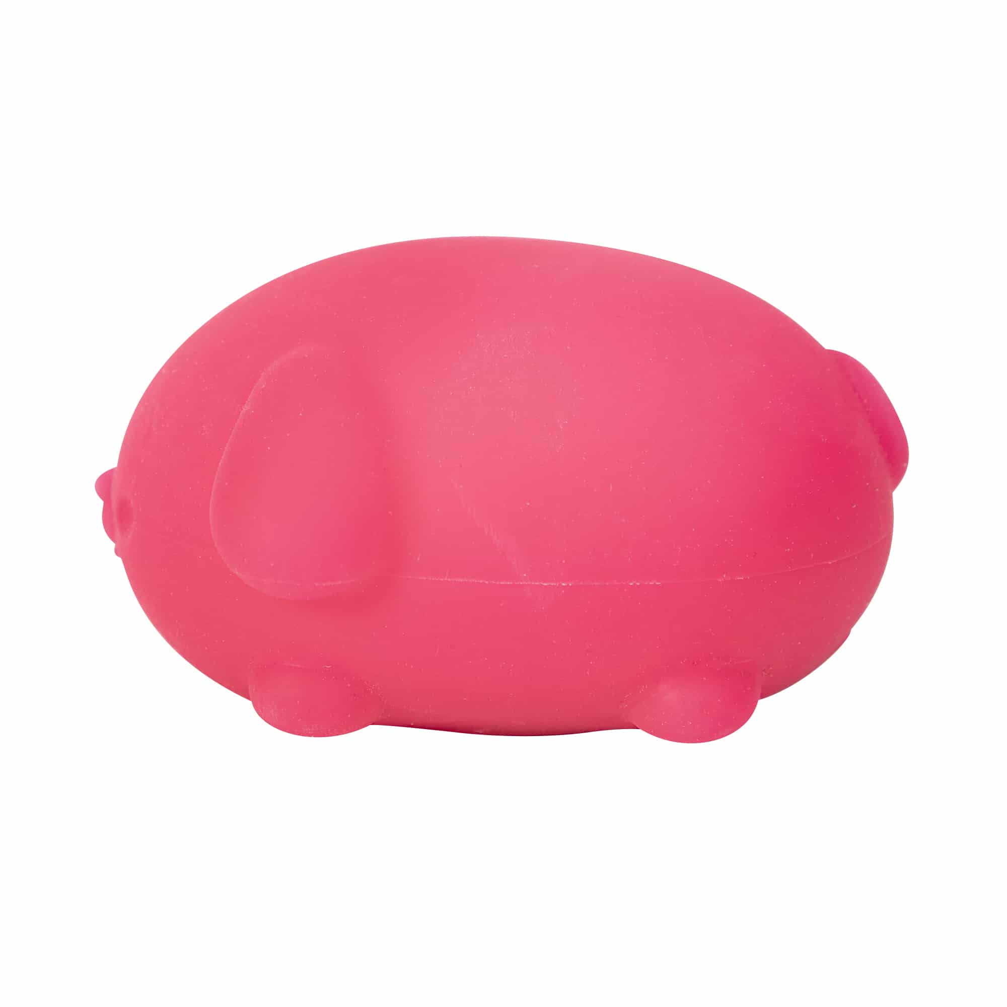 Purrfectly Squishy NeeDoh Funky Pup | Collection Canyon Shore - Cute Animal-Shaped NeeDoh Fidget Toy for Kids Detail