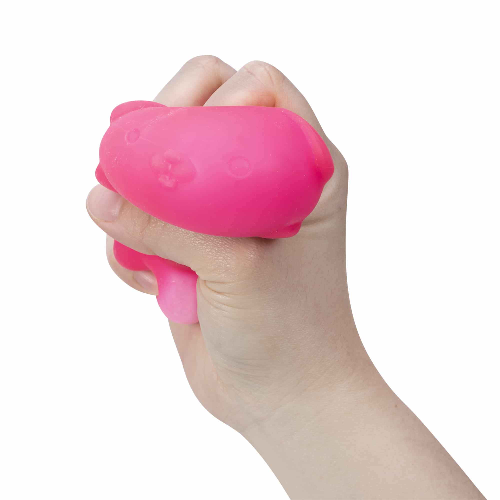 Purrfectly Squishy NeeDoh Funky Pup | Collection Canyon Shore - Cute Animal-Shaped NeeDoh Fidget Toy for Kids Detail