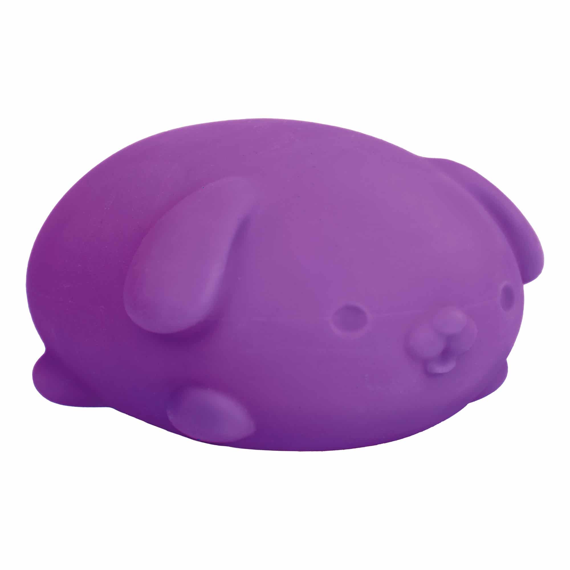 Purrfectly Squishy NeeDoh Funky Pup | Collection Canyon Shore - Cute Animal-Shaped NeeDoh Fidget Toy for Kids Detail