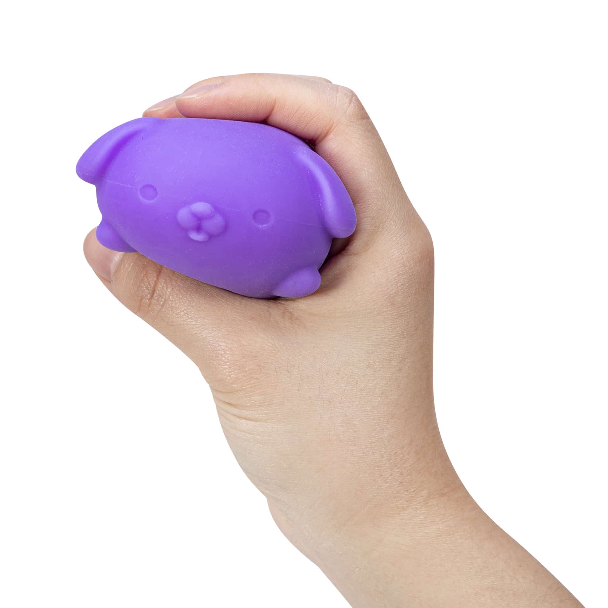 Purrfectly Squishy NeeDoh Funky Pup | Collection Canyon Shore - Cute Animal-Shaped NeeDoh Fidget Toy for Kids Detail