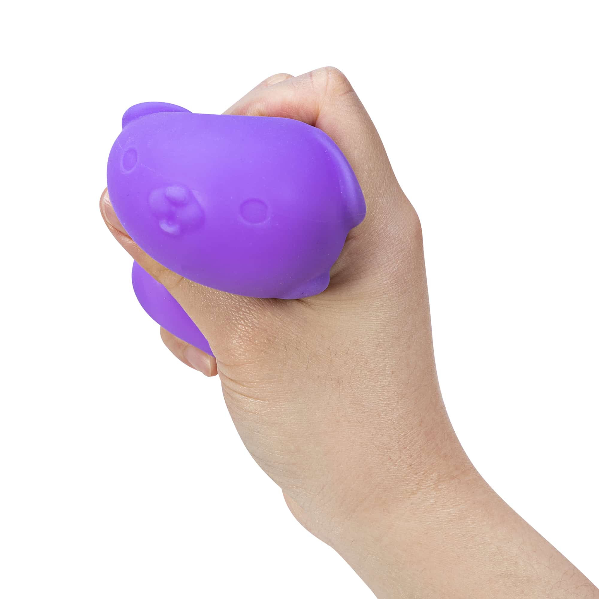 Purrfectly Squishy NeeDoh Funky Pup | Collection Canyon Shore - Cute Animal-Shaped NeeDoh Fidget Toy for Kids Detail